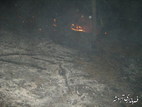 مهار آتش سوزی درختان کاج جنگل روستای خاندوزسادات
