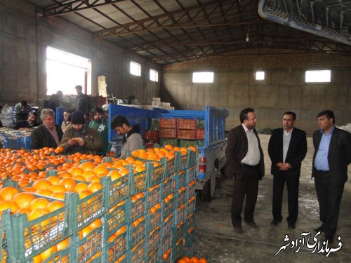 بازدید معاون فرماندار آزادشهر از مراکز توزیع میوه در شهرستان