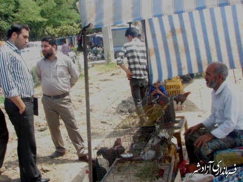 تاکيد بر ممنوعيت فروش مرغ زنده در هفته بازار آزادشهر