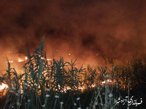 اطفای حریق در مزارع گندم شهرستان آزادشهر