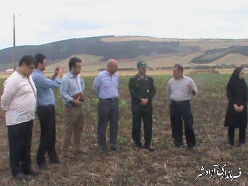 بازدید رئیس کمیته اقتصادی مقاومتی و نماینده فرماندار از کشت محصولات کشاورزی  شهرستان آزادشهر
