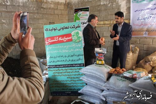 افتتاح طرح اقتصاد مقاومتی روستایی در بخش مرکزی شهرستان آزادشهر