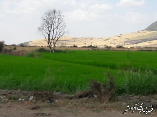 بازدید مسئولین کشوری و استانی از پروژه های آب وخاک و اراضی شیب دار شهرستان آزادشهر