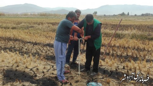 یارانه آزمایش خاک برای مزارع کشت کلزا