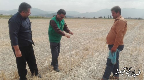 یارانه آزمایش خاک برای مزارع کشت کلزا