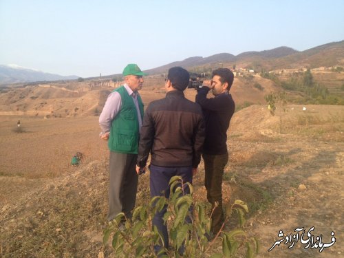 افزایش 25% تولید زعفران در روستای وامنان آزادشهر