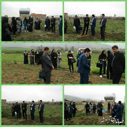 بازدید دانشجویان جهاد دانشگاهی از اولین مزرعه پیشرو کشت گیاهان دارویی در روستای فاضل‌آباد
