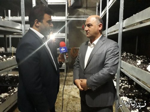 بازدید فرماندار آزادشهر از شرکت کشت و صنعت یگانه قارچ گلستان