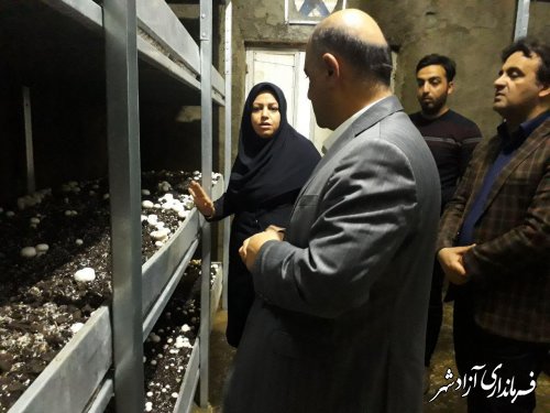 بازدید فرماندار آزادشهر از شرکت کشت و صنعت یگانه قارچ گلستان