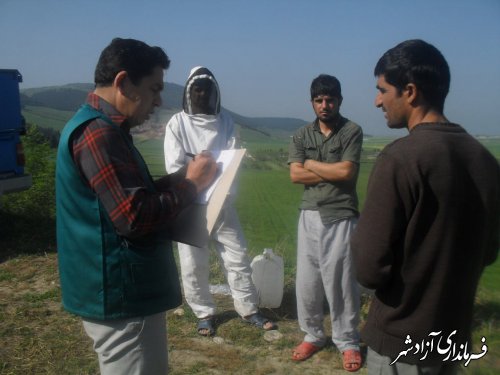 بازدید کارشناس جهادکشاورزی از زنبورستان‌های مهاجر در سطح شهرستان آزادشهر