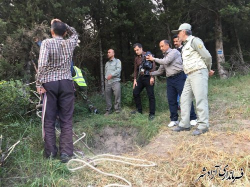 نجات خوک در جنگل هاي نوده خاندوز شهرستان آزادشهر