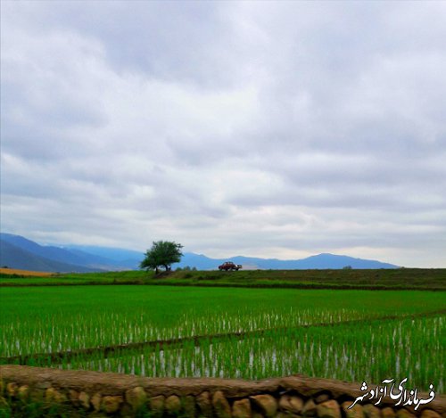 معرفی آب بندان زیبای روستای سید آباد نیلی شهرستان آزادشهر