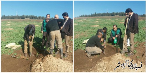 شروع عملیات احداث باغ در طرح اراضی شیبدار در منطقه آق‌امام
