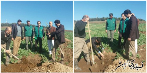 شروع عملیات احداث باغ در طرح اراضی شیبدار در منطقه آق‌امام