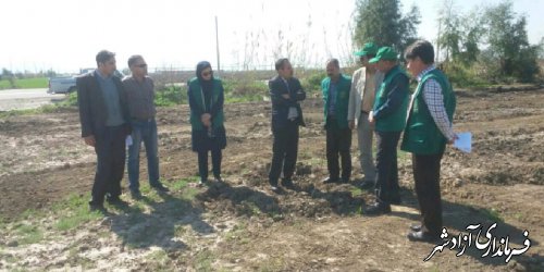 پیگیری و نظارت  مدیر جهادکشاورزی بر طرح توسعه کشت درختان در اراضی شیبدار