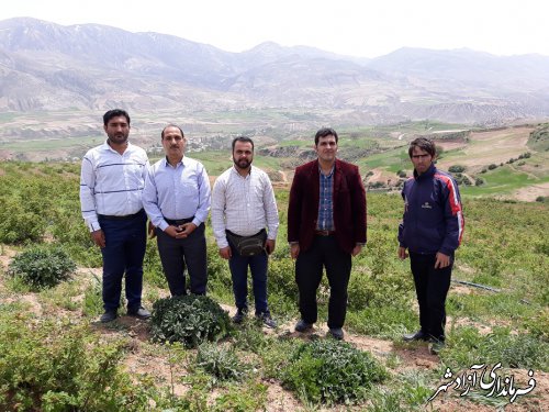 بازدید دانشجویان رشته جنگلداری دانشگاه کشاورزی و منابع طبیعی استان گلستان