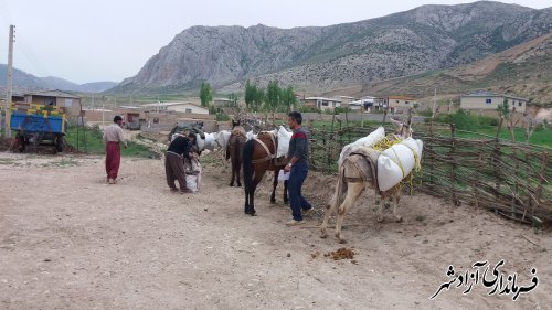 کودپاشی مراتع آزادشهر با مشارکت جوامع محلی انجام شد