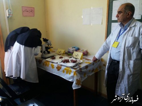 کسب مقام توسط دانش آموزان آزادشهری در مسابقات آزمایشگاهی مرحله استانی