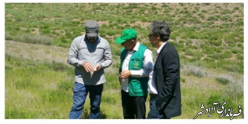 حضور مدیر حفظ نباتات سازمان جهادکشاورزی استان در شهرستان آزادشهر