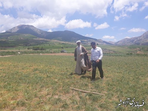 برگزاری دوره آموزشی گیاهان دارویی در روستای وامنان