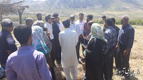 بازدید جوامع محلی از پروژه ترسیب کربن شهرستان آزادشهر