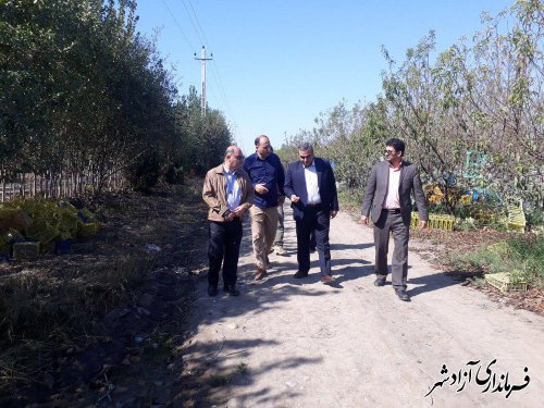 بازدید فرماندار آزادشهر به همراه مشاور وزیر جهادکشاورزی از 3 پروژه بخش کشاورری