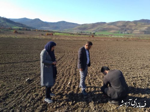 کشت اولین مزرعه سیاه‌دانه در شهرستان آزادشهر