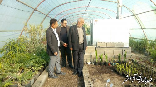 بازدید سرپرست معاونت فنی مدیریت جهادکشاورزی آزادشهر از گلخانه پرورش گل‌های زینتی