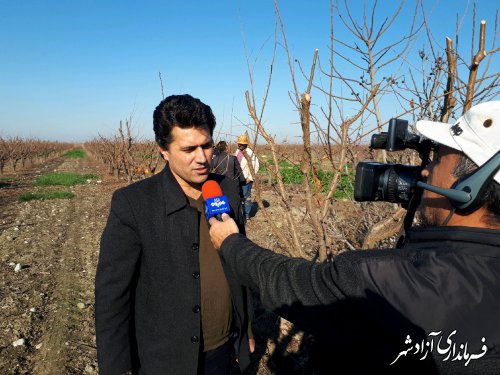برای اولین بار در شهرستان آزادشهر سرشاخه های زائد درختان باغ فرآوری شد
