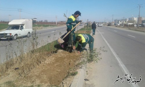 فعالیت پرسنل فضای سبز شهرداری در سطح شهر وپارکهای مرکزی /زیتون /کودک