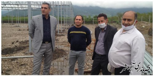 بازدید مدیر باغبانی سازمان جهاد کشاورزی استان گلستان از طرح احداث گلخانه در آزادشهر