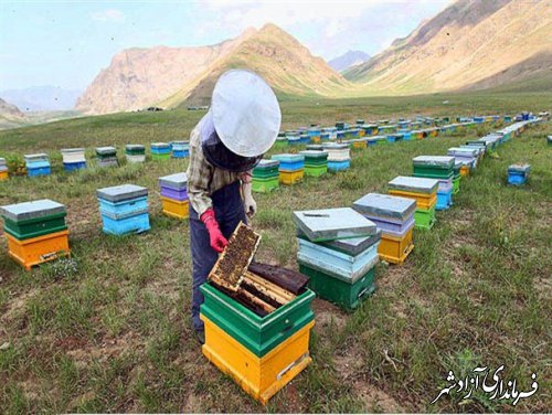 اطلاعیه روابط عمومی مدیریت جهادکشاورزی آزادشهر در خصوص حمل و نقل کندوی زنبور عسل