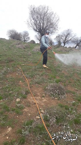 مبارزه شیمیایی برای از بین بردن ملخ مراکشی در شهرستان آزادشهر