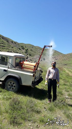 مبارزه شیمیایی برای از بین بردن ملخ مراکشی در شهرستان آزادشهر