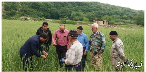 برگزاری کلاس ترویجی برای کشاورزان بخش چشمه ساران