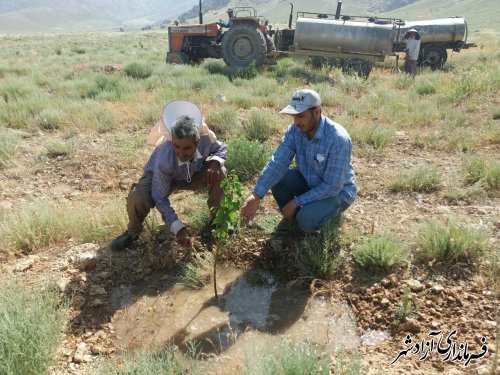 اجرا و نظارت بر اجرای طرح های اراضی شیبدار توسط جهادکشاورزی آزادشهر