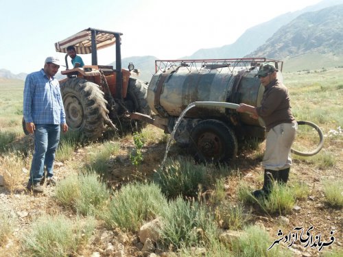 اجرا و نظارت بر اجرای طرح های اراضی شیبدار توسط جهادکشاورزی آزادشهر