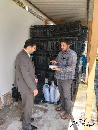 بازدید مدیر جهاد کشاورزی آزادشهر از کارگاه بسته‌بندی میوه 