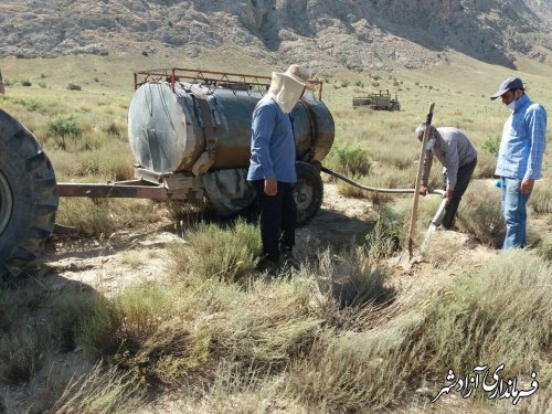 اجرای طرح توسعه کاشت نهال در اراضی شیبدار روستای تیل‌آباد 