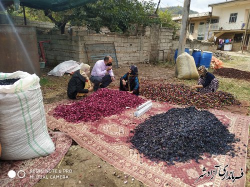 توسعه‌ی مشاغل خانگی در ایجاد اشتغال فراگیر، اشتغال‌آفرینی و کاهش نرخ بیکاری بسیار مهم است