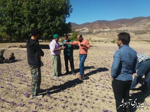 ضبط برنامه رادیویی صدای آبادی در روستاهای زعفران‌خیز بخش چشمه‌ساران شهرستان آزادشهر