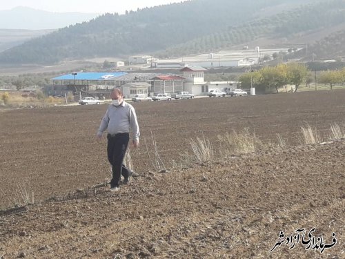 بازدید سرپرست یگان حفاظت میراث فرهنگی شهرستان آزادشهر از تپه تاریخی سمیعی روستای قزلجه