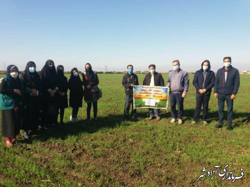 آموزش کارشناسان طرح جهش تولید شهید ساجدی توسط مراکز جهاد کشاورزی آزادشهر