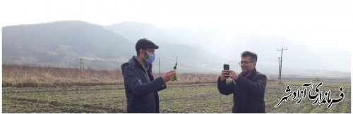 بازدید کارشناس کارخانه قند جوین از مزارع چغندرقند شهرستان آزادشهر