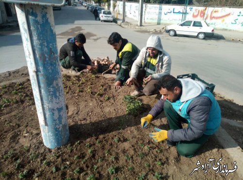 فعالیت شبانه روزی  ومستمر واحد فضای سبز شهرداری آزادشهربا آغاز فصل سرما درسطح پارکها .یلوارها وشهر 