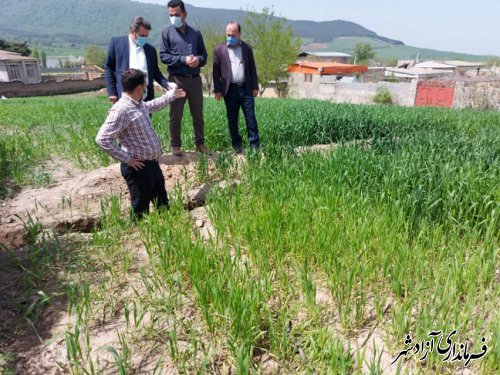 بازدید کارشناسان باستان شناسی اداره کل میراث فرهنگی گلستان از محوطه های تاریخی شهرستان آزادشهر