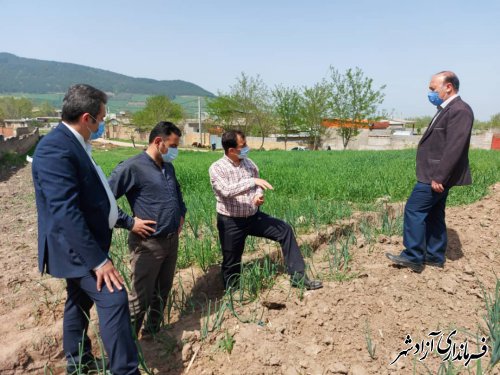 بازدید کارشناسان باستان شناسی اداره کل میراث فرهنگی گلستان از محوطه های تاریخی شهرستان آزادشهر