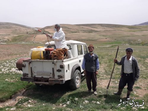 اطلاعیه مدیریت جهادکشاورزی شهرستان آزادشهر درخصوص مبارزه با آفت ملخ مراکشی