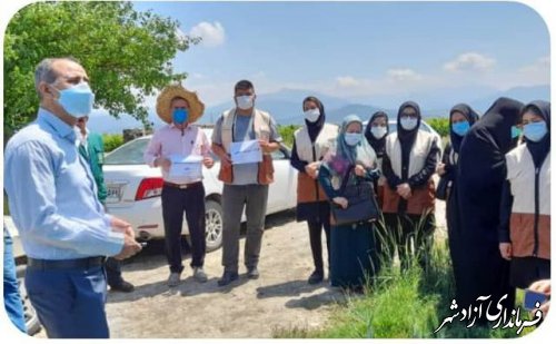 برگزاری کارگاه آموزشی کشت بر روی بقایای گیاهی توسط مدیریت جهادکشاورزی آزادشهر