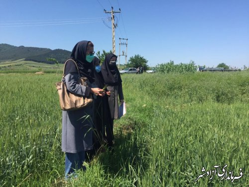 بازدید مسوول سایت‌های الگویی ترویجی سازمان جهادکشاورزی استان از سایت روستای خاندوز سادات